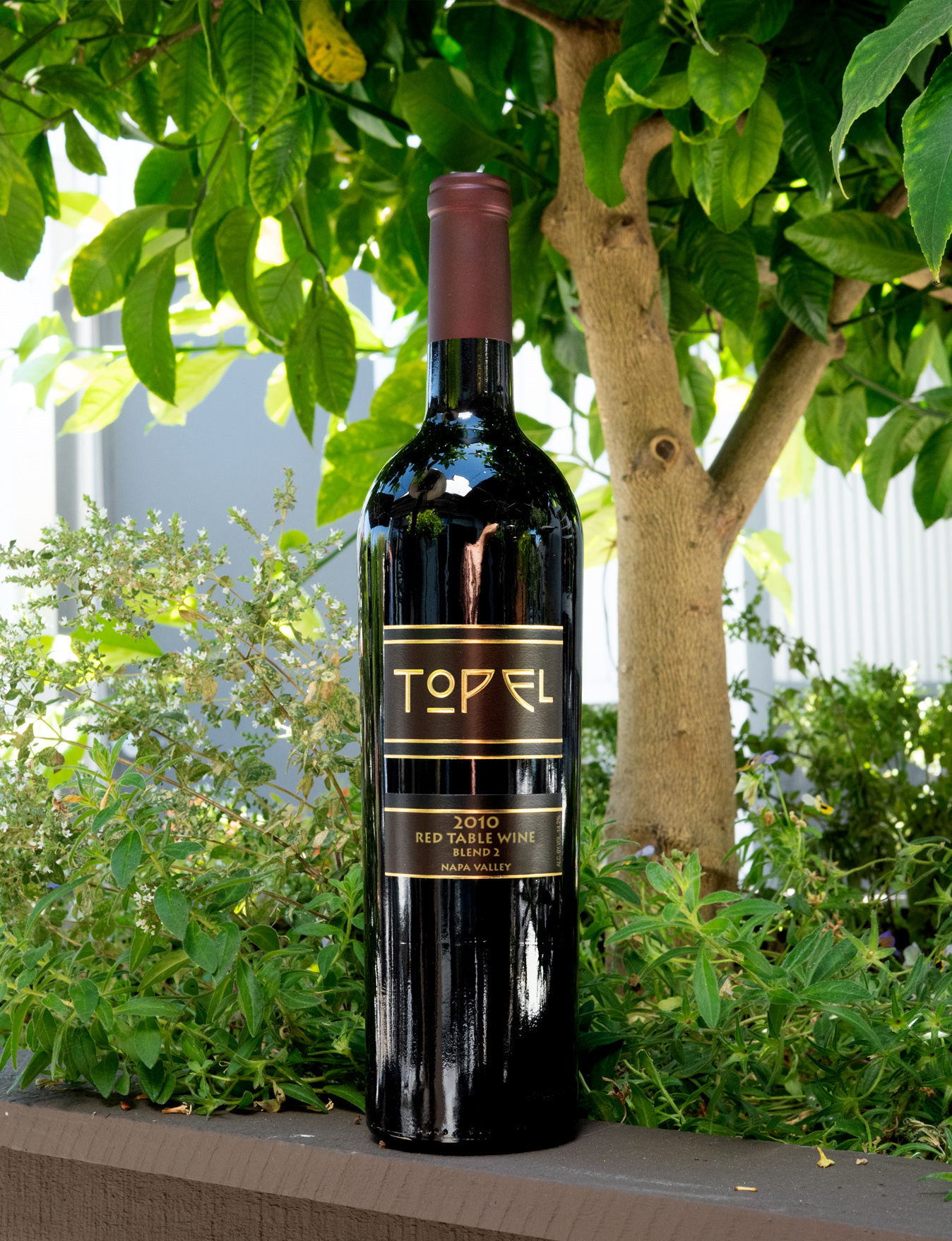Topel Winery 2010 'Blend 2' Napa Valley Red 750ml Wine Bottle