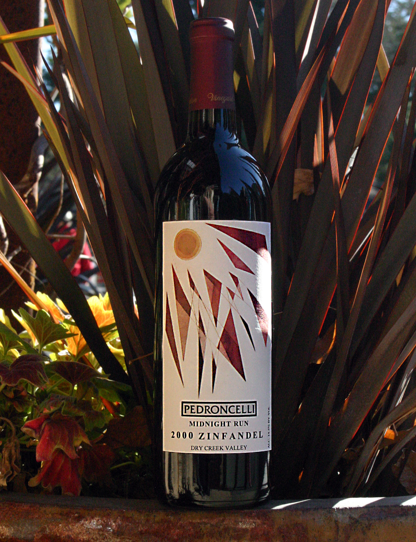 Pedroncelli Winery & Vineyards 2000 Midnight Run Zinfandel 750ml Wine Bottle