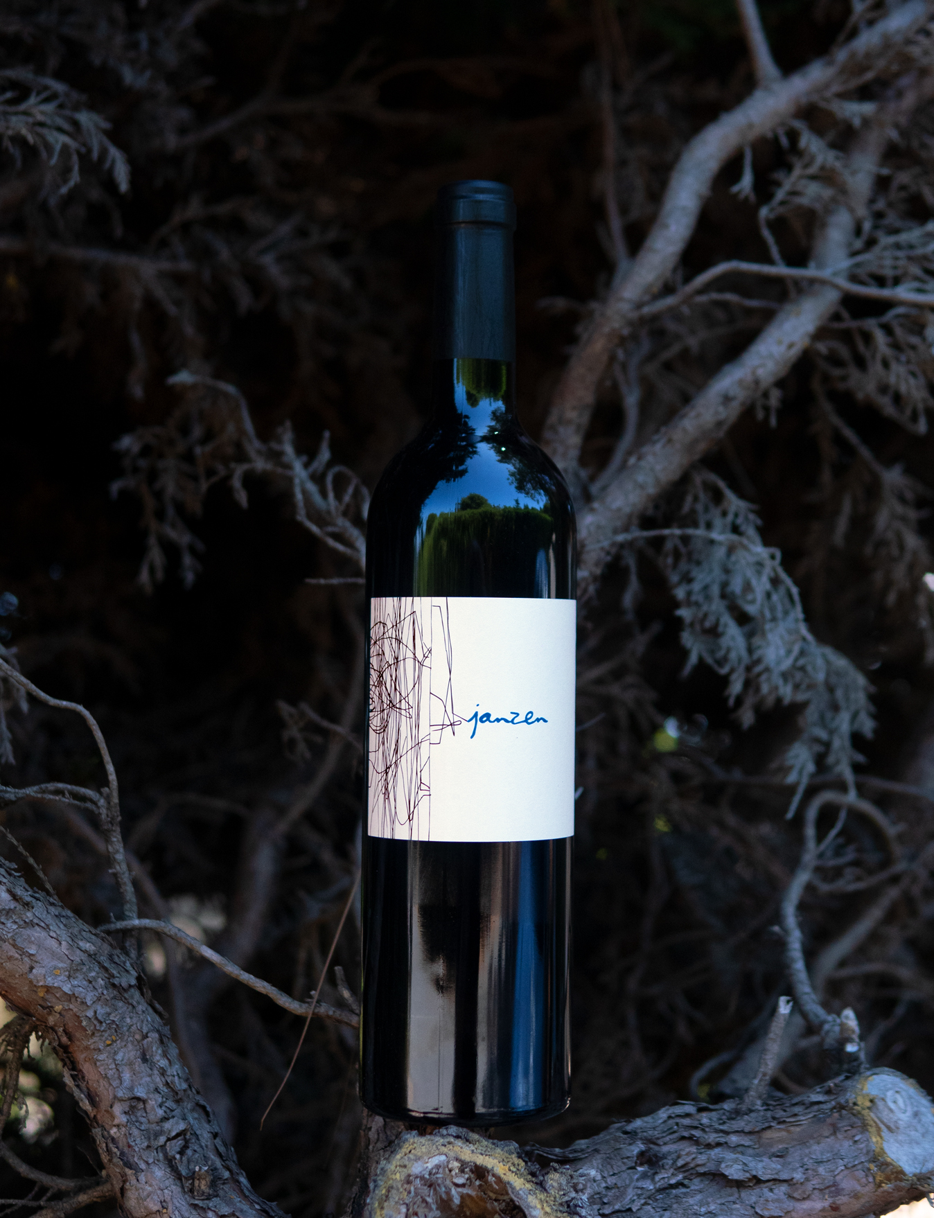 Janzen 2014 Cloudy's Vineyard Napa Valley Cabernet Sauvignon 750ml Wine Bottle