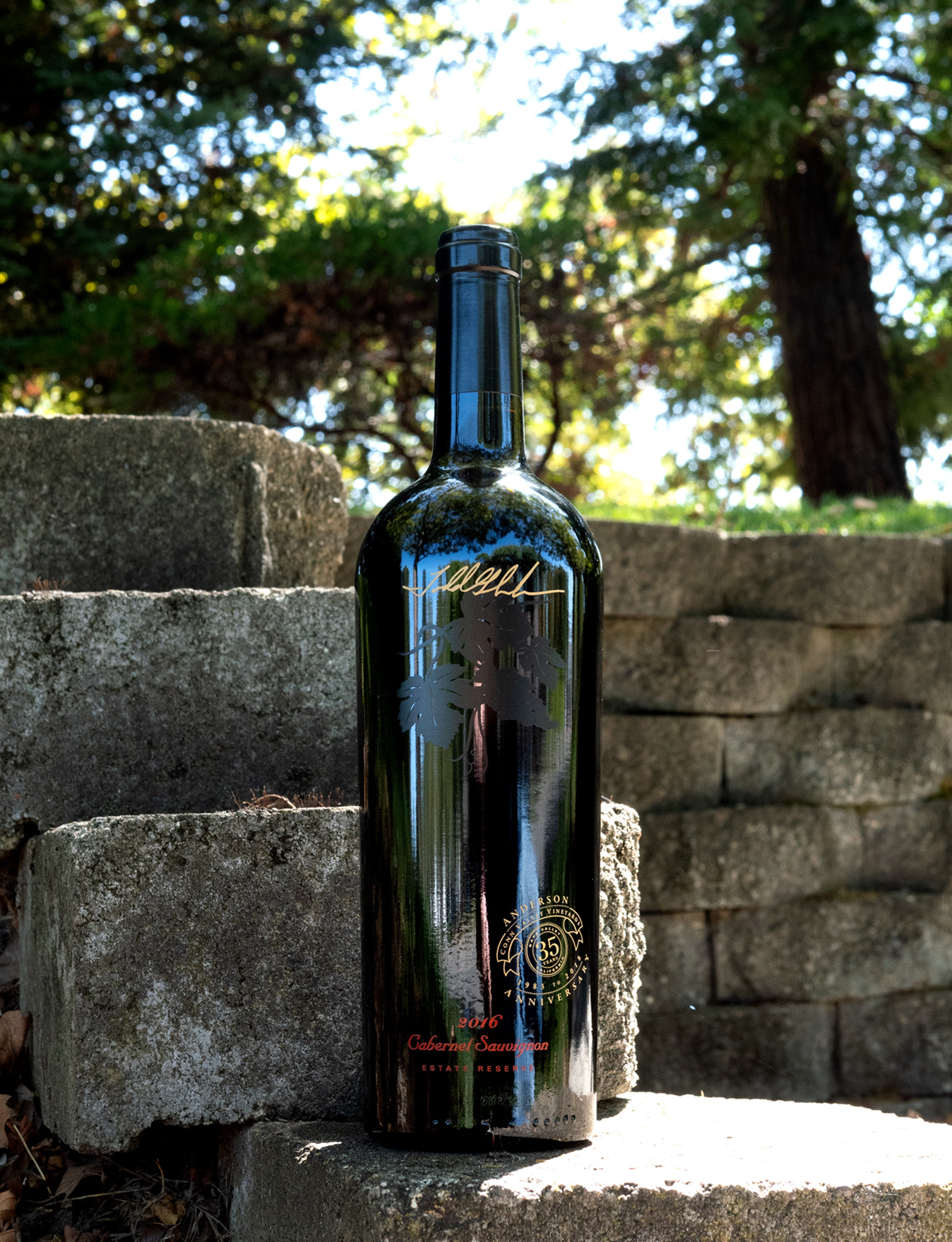 Anderson's Conn Valley 2016 Estate Reserve Napa Valley Cabernet Sauvignon 750ml Wine Bottle