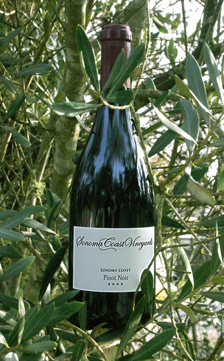 Sonoma Coast Vineyards 2005 Sonoma Coast Pinot Noir 750ml Wine Bottle