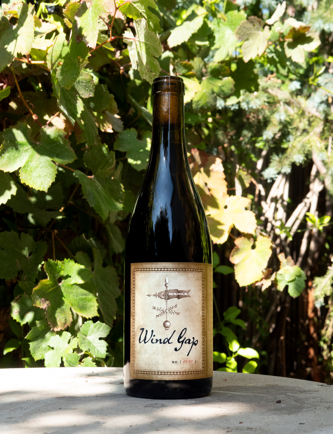 Wind Gap 2013 Sonoma Coast Pinot Noir 750ml Wine Bottle