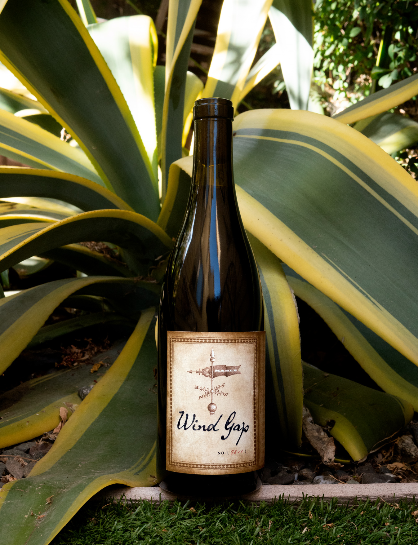 Wind Gap 2013 Chenoweth Vineyard Sonoma Coast Pinot Noir 750ml Wine Bottle