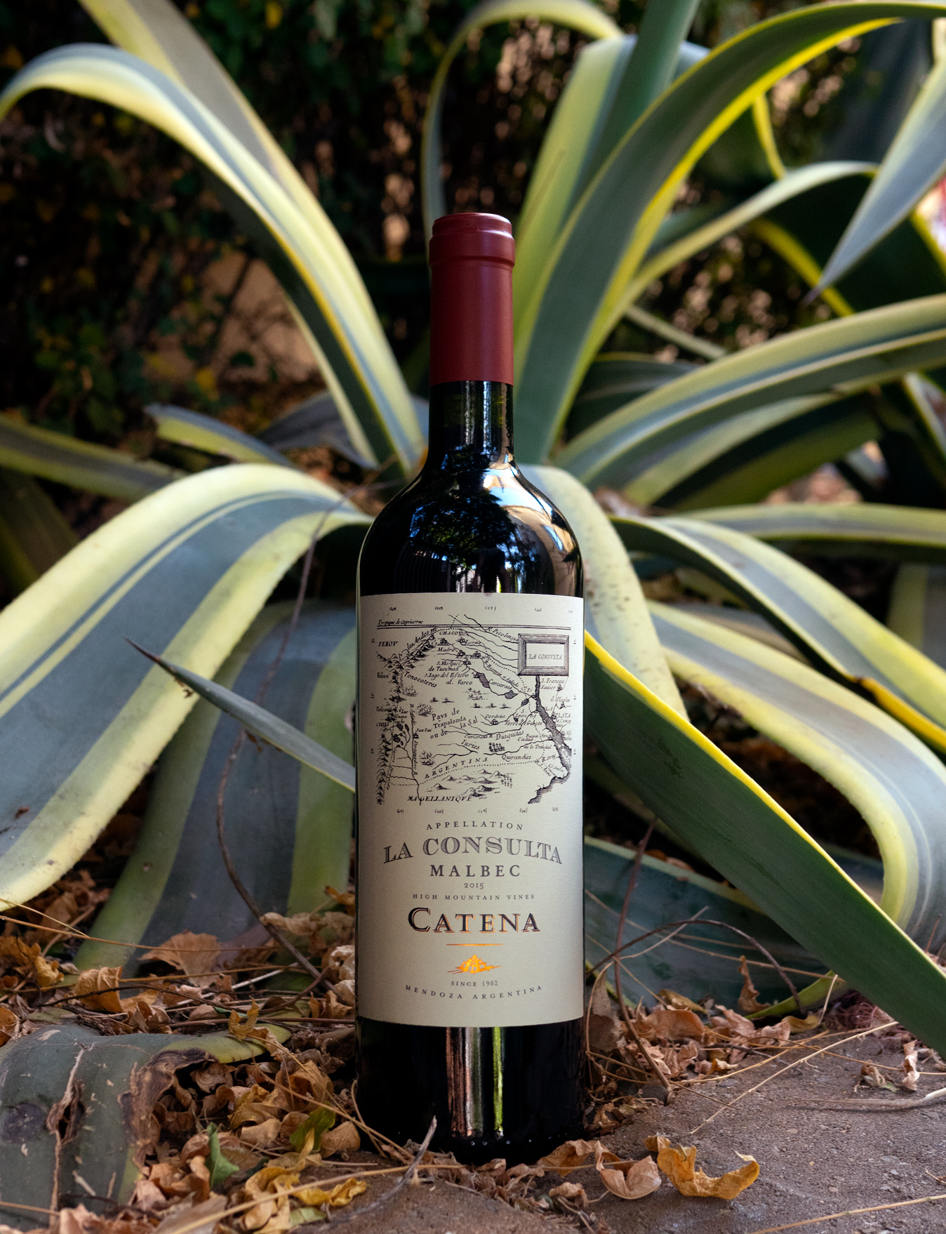 Bodega Catena Zapata 2015 High Mountain Vines La Consulta Mendoza Malbec 750ml Wine Bottle