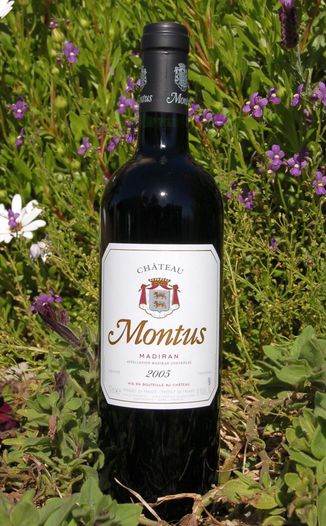 Chateau Montus 2005 Madiran AOC 750ml Wine Bottle