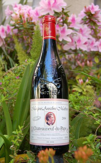 Domaine Mathieu 2004 Cuvée Marquis Anselme Mathieu 750ml Wine Bottle