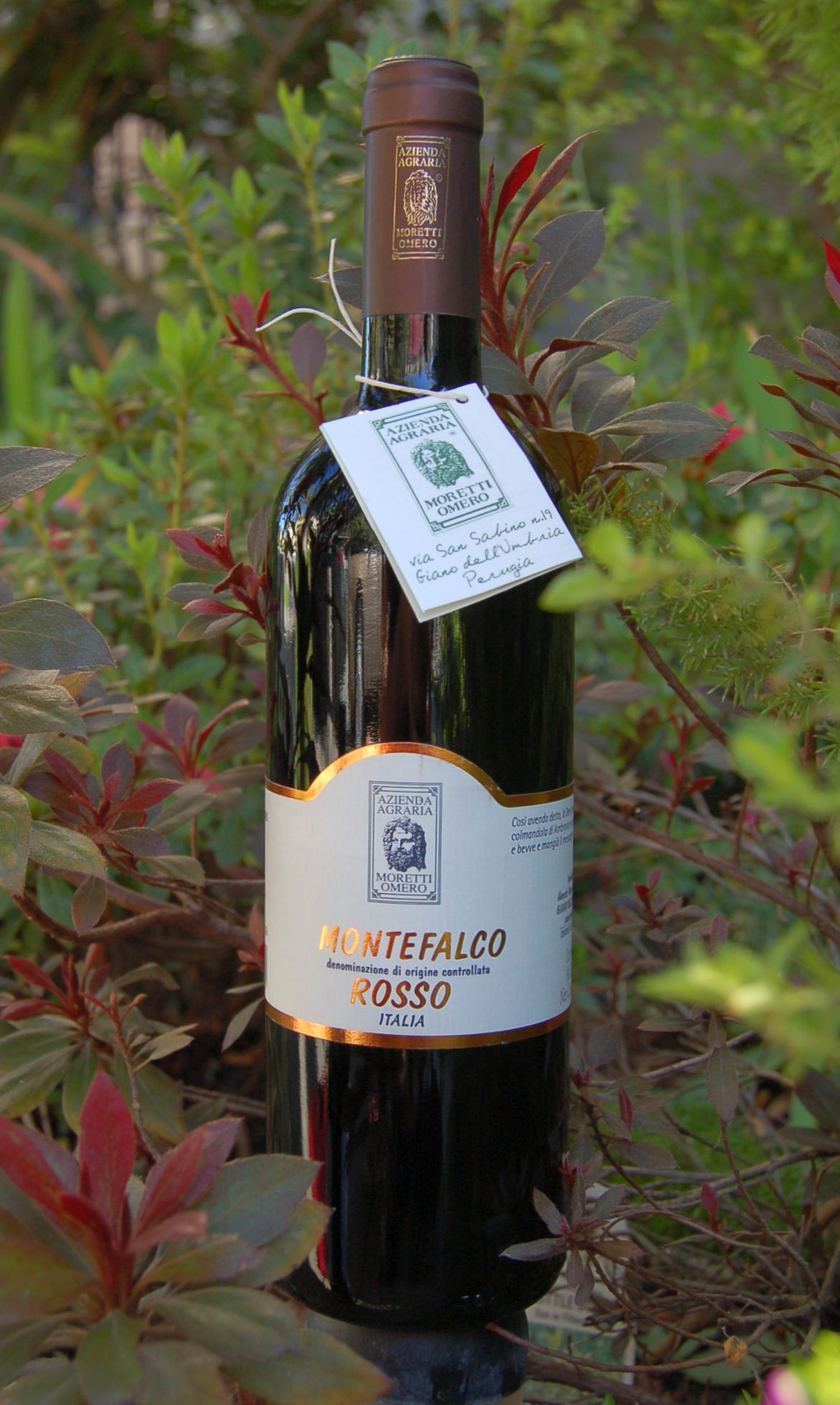 Moretti Omero 2005 Montefalco Rosso DOC 750ml Wine Bottle