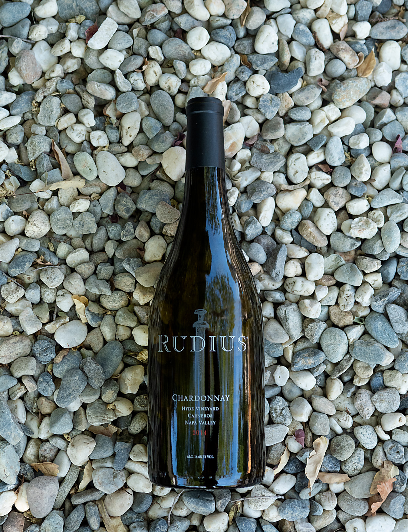 Rudius 2014 Hyde Vineyard Carneros Napa Valley Chardonnay 750ml Wine Bottle