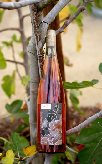 Ion Wines 2018 Rosé of Pinot Noir 750ml Wine Bottle