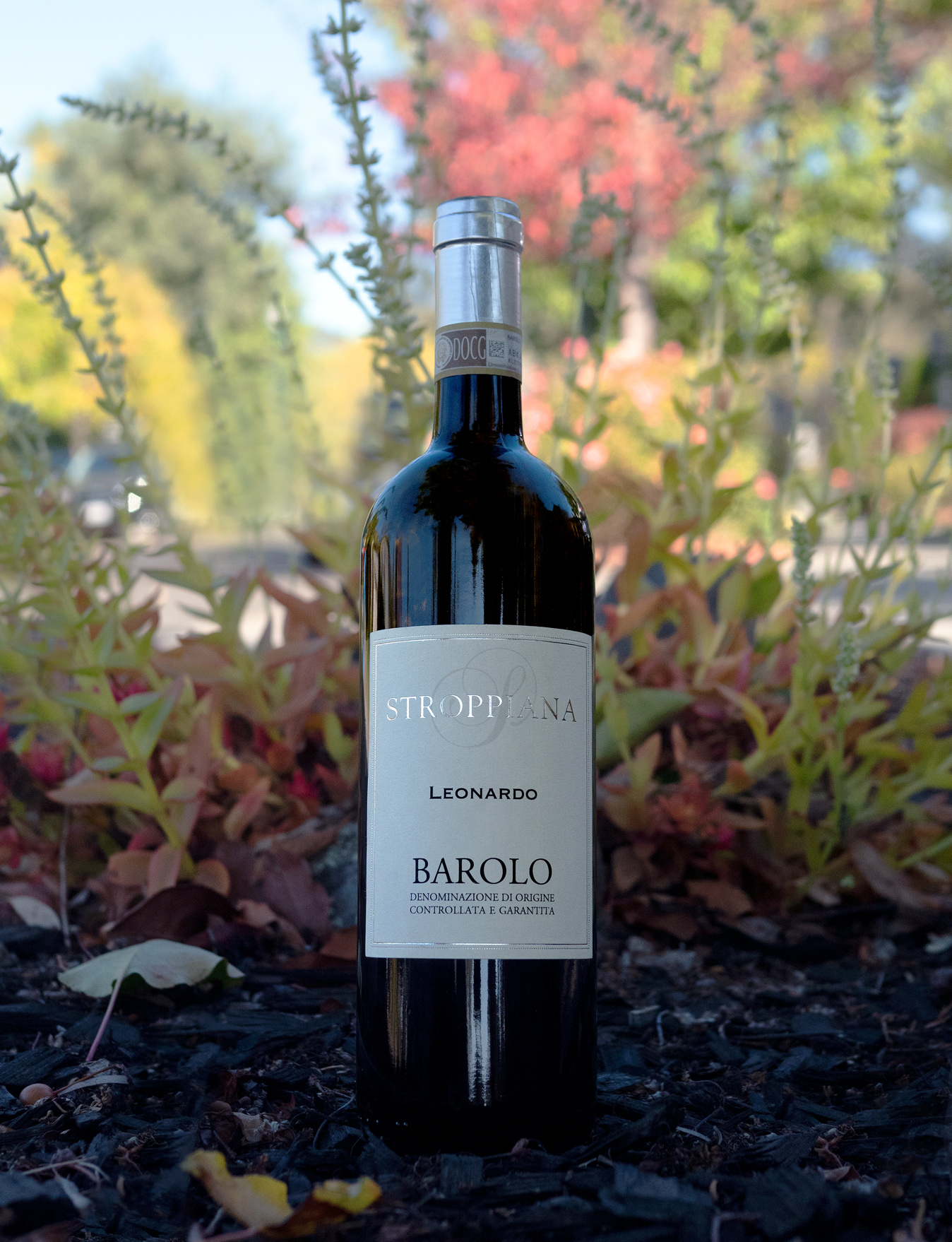 Cantina Stroppiana 2015 ‘Leonardo’ Barolo DOCG 750ml Wine Bottle