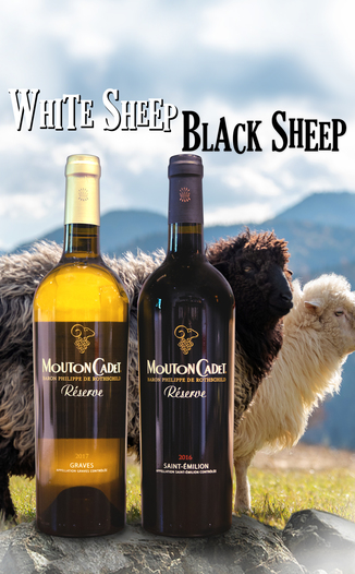 Baron Philippe de Rothschild 2016 Mouton Cadet Réserve Graves Blanc & St-Émilion 2 Pack 750ml Wine Bottle