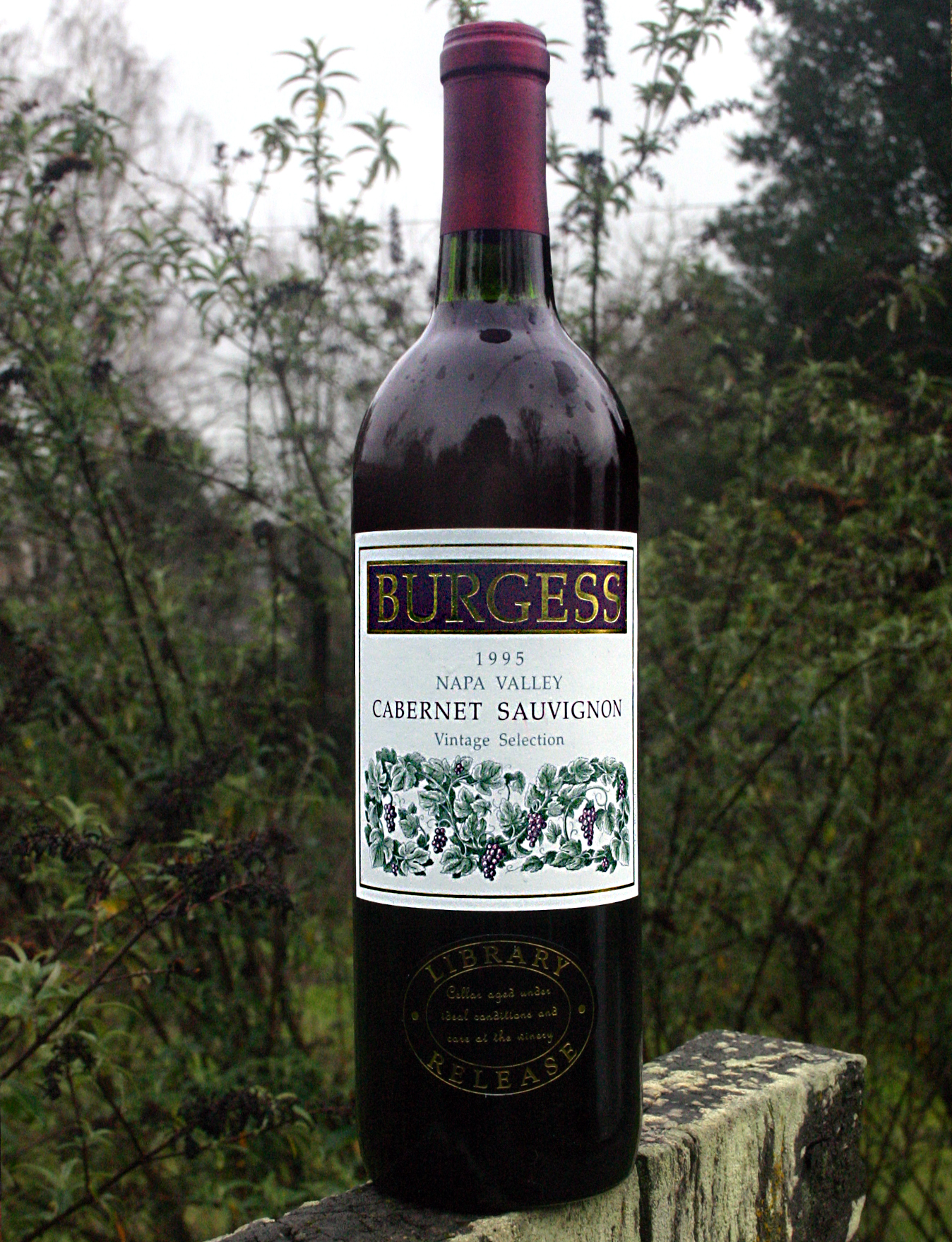 Burgess Cellars 1995 Napa Valley Cabernet Sauvignon 750ml Wine Bottle