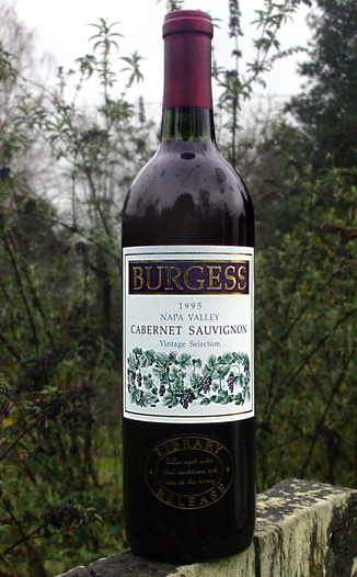Burgess Cellars 1995 Napa Valley Cabernet Sauvignon 750ml Wine Bottle