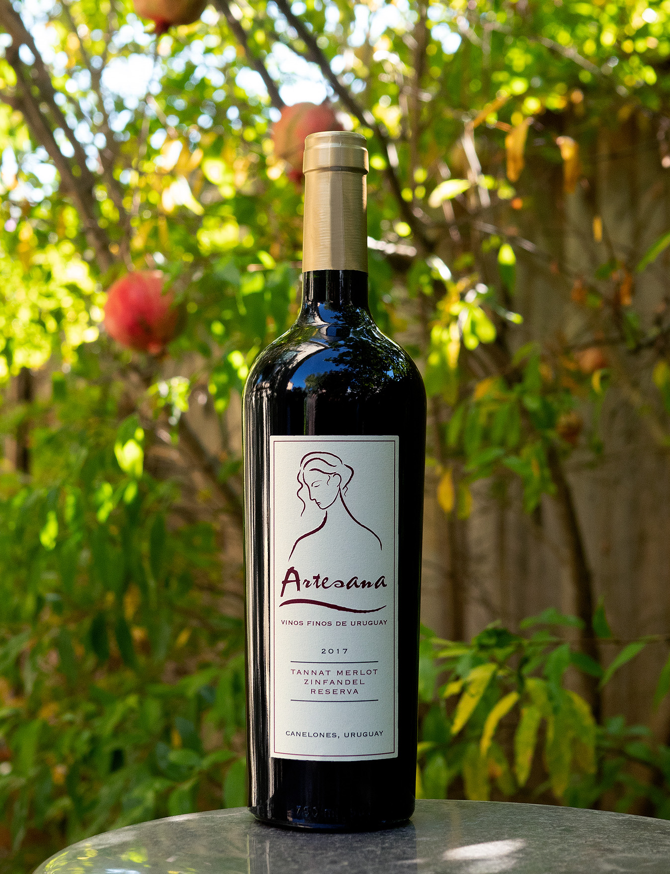 Artesana 2017 Canelones Tannat Merlot Zinfandel Reserva 750ml Wine Bottle