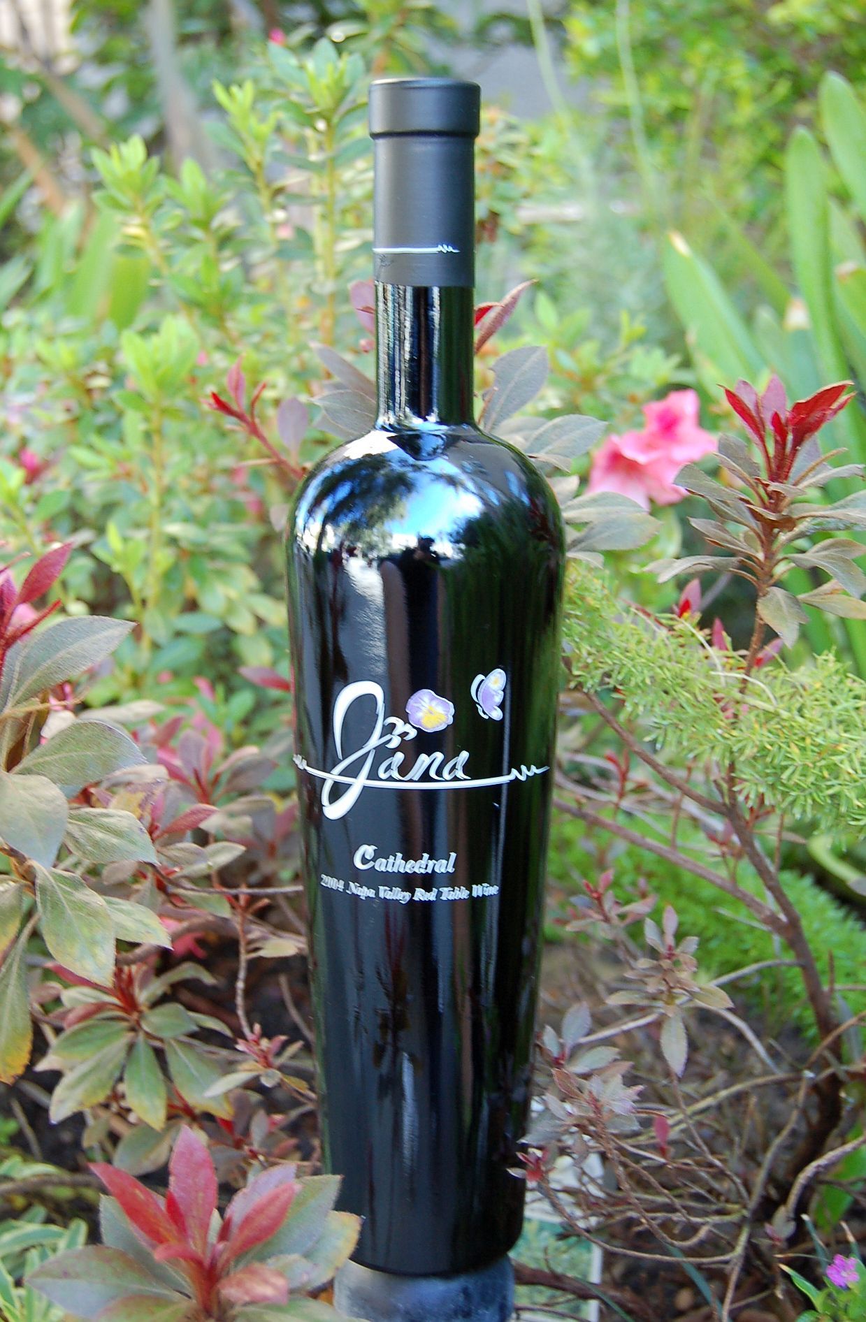 Jana Wines 2004 Jana Cathedral Napa Valley Bordeaux Blend 750ml Wine Bottle