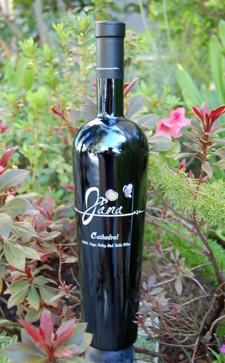 Jana Wines 2004 Jana Cathedral Napa Valley Bordeaux Blend 750ml Wine Bottle
