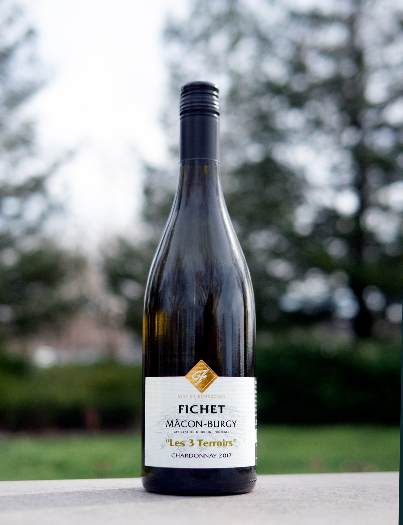 Domaine Fichet 2017 'Les 3 Terroirs' Mâcon-Burgy AOC 750ml Wine Bottle