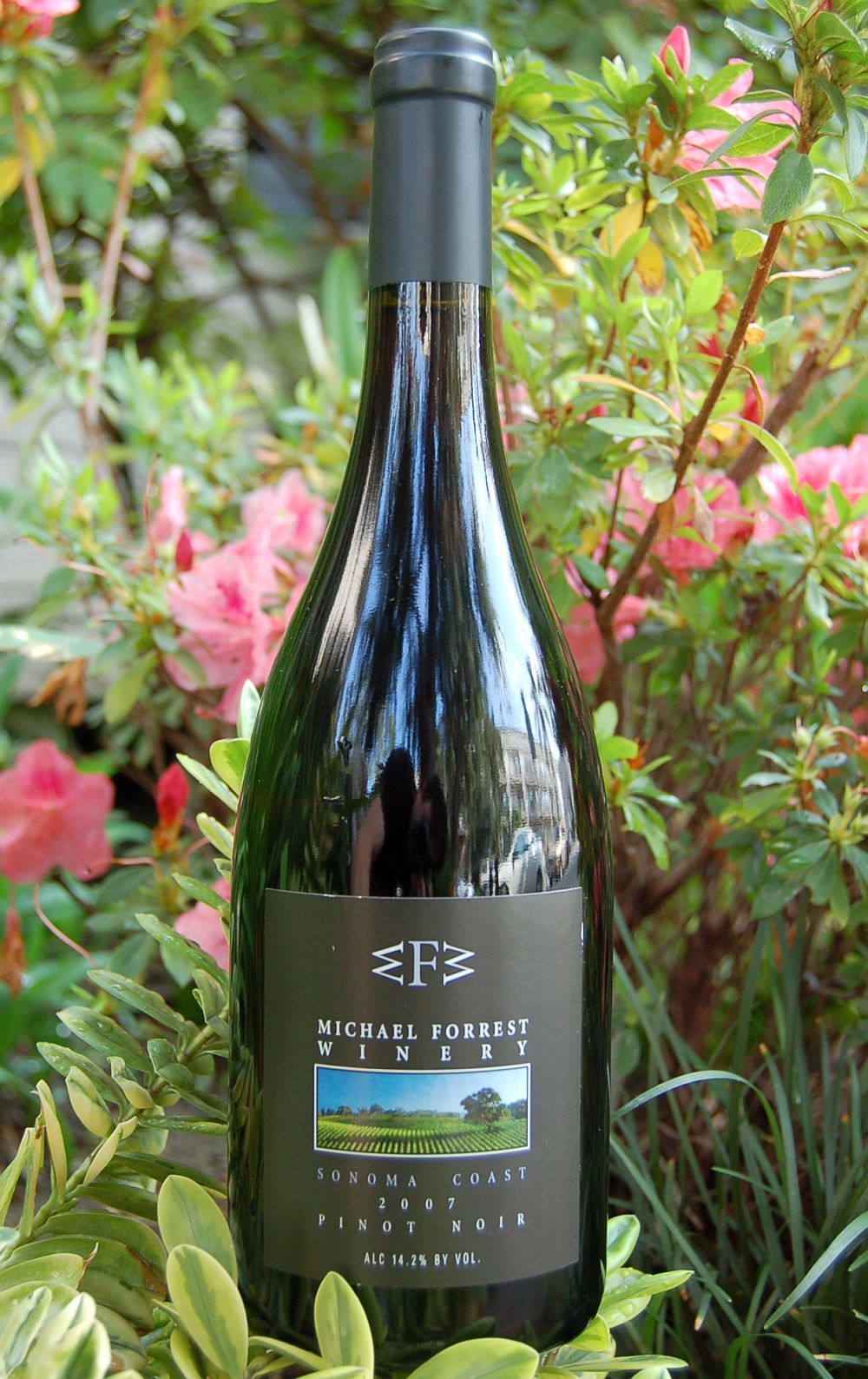 Michael Forrest Winery 2007 Sonoma Coast Pinot Noir 750ml Wine Bottle