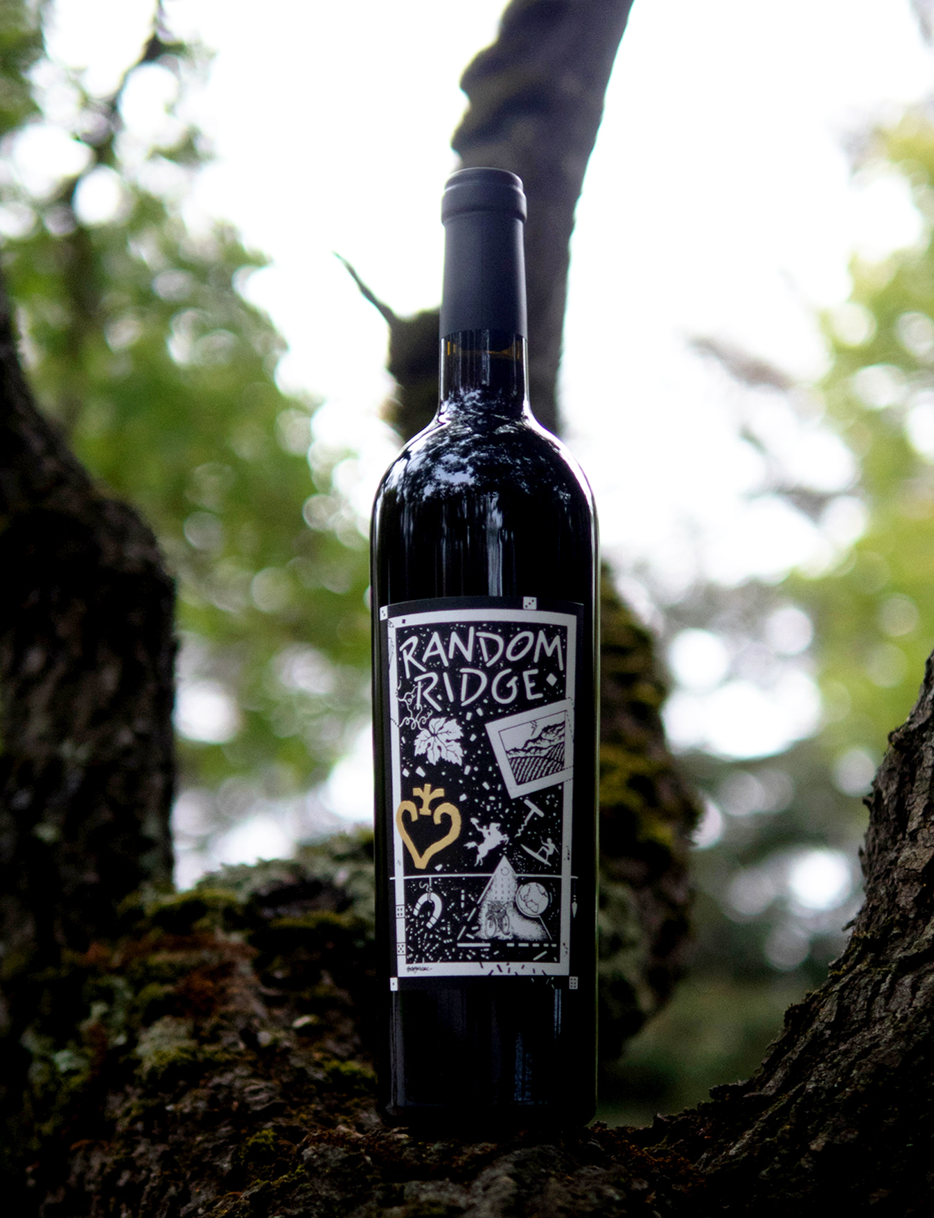 Random Ridge 2016 Mt. Veeder District Napa Valley Cabernet Sauvignon 750ml Wine Bottle