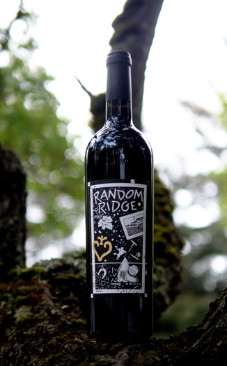 Random Ridge 2016 Mt. Veeder District Napa Valley Cabernet Sauvignon 750ml Wine Bottle