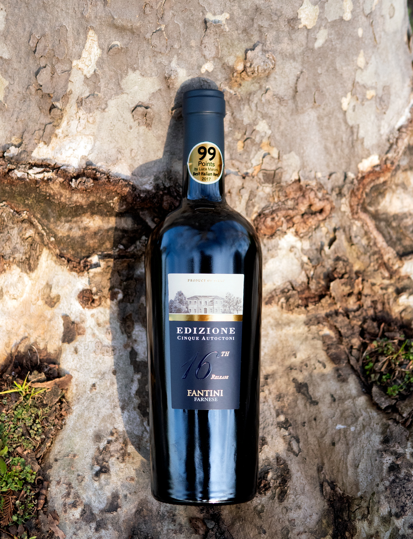 Fantini Farnese 2014 'Cinque Autoctoni' Edizione 16 Red Blend 750ml Wine Bottle