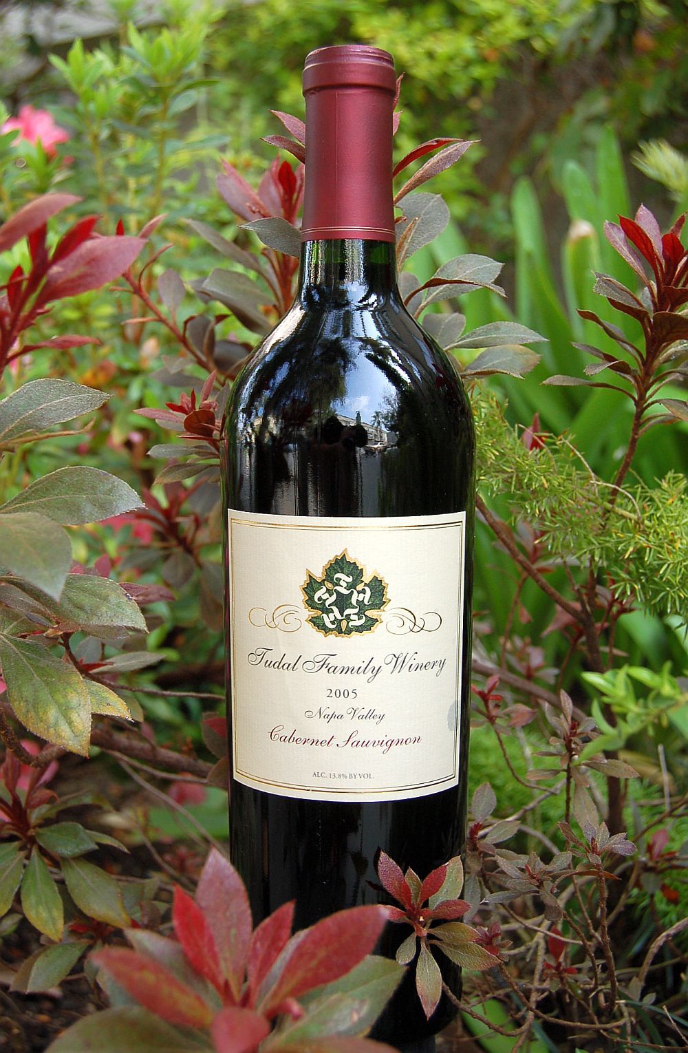 Tudal Family Winery 2005 Tudal Family Cabernet Sauvignon 750ml Wine Bottle