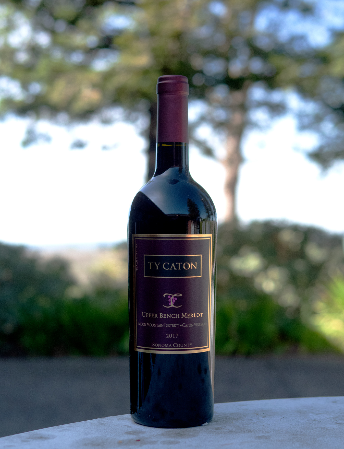 Ty Caton 2017 Upper Bench Moon Mountain Merlot 750ml Wine Bottle