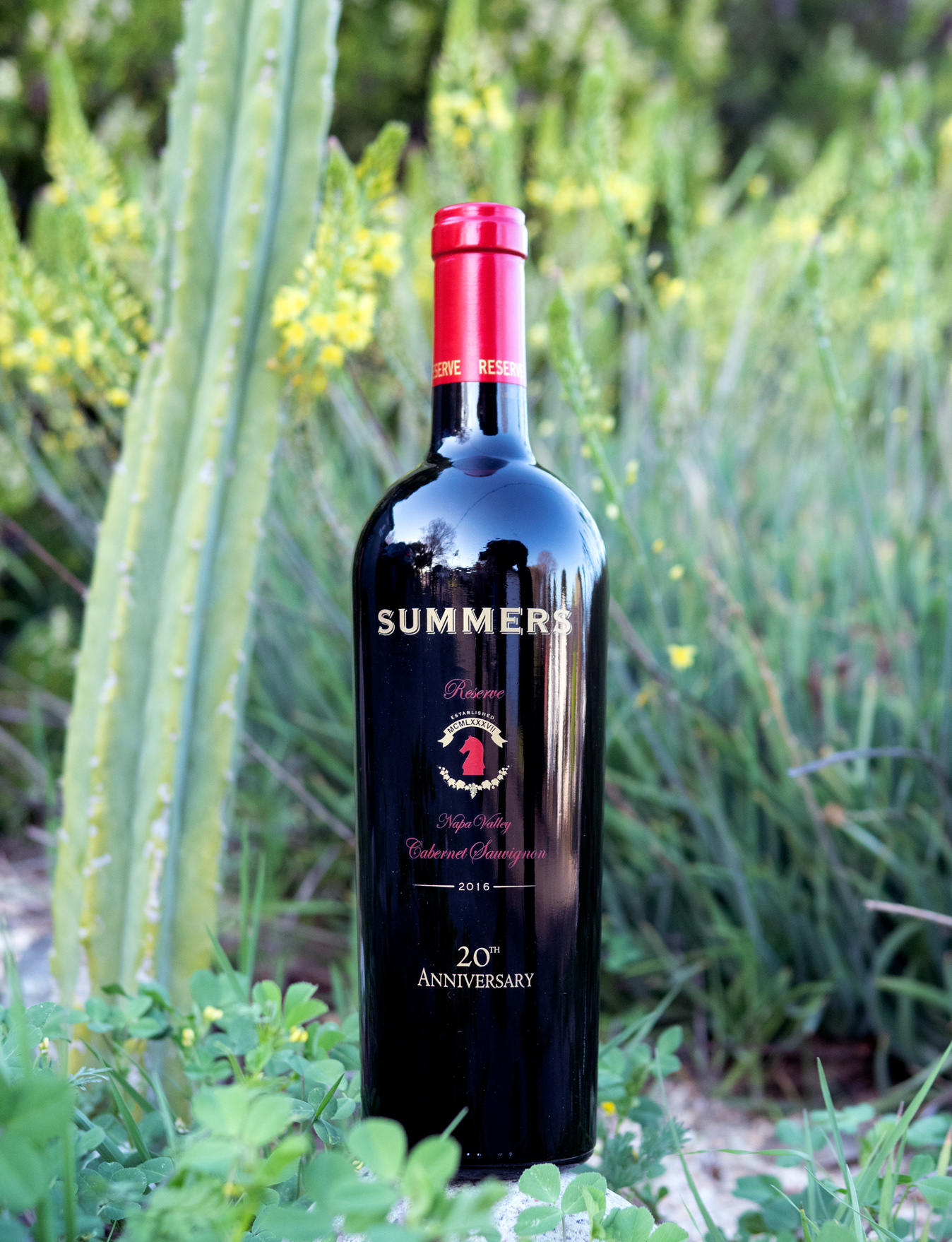Summers 2016 20th Anniversary Reserve Napa Valley Cabernet Sauvignon 750ml Wine Bottle