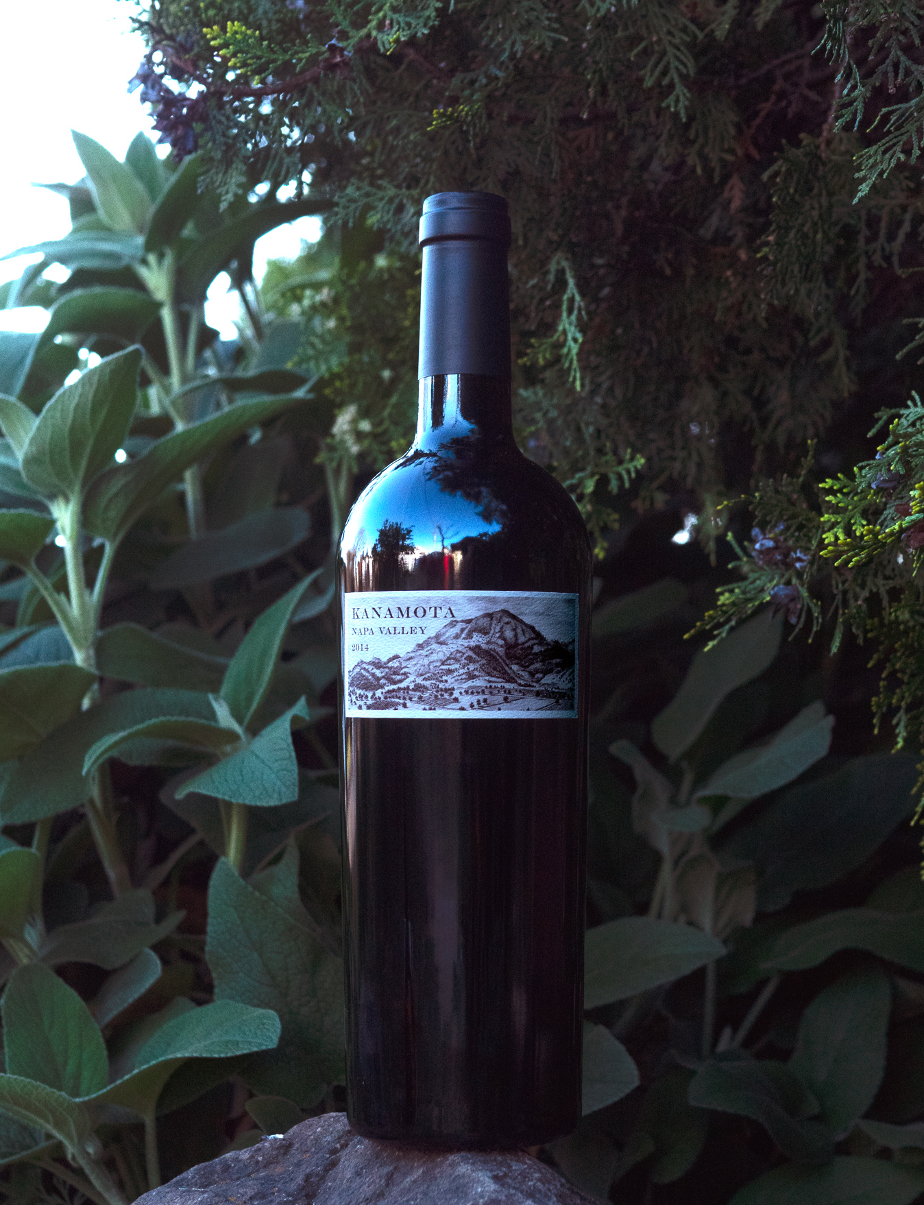 Kanamota 2014 Napa Valley Cabernet Sauvignon 750ml Wine Bottle