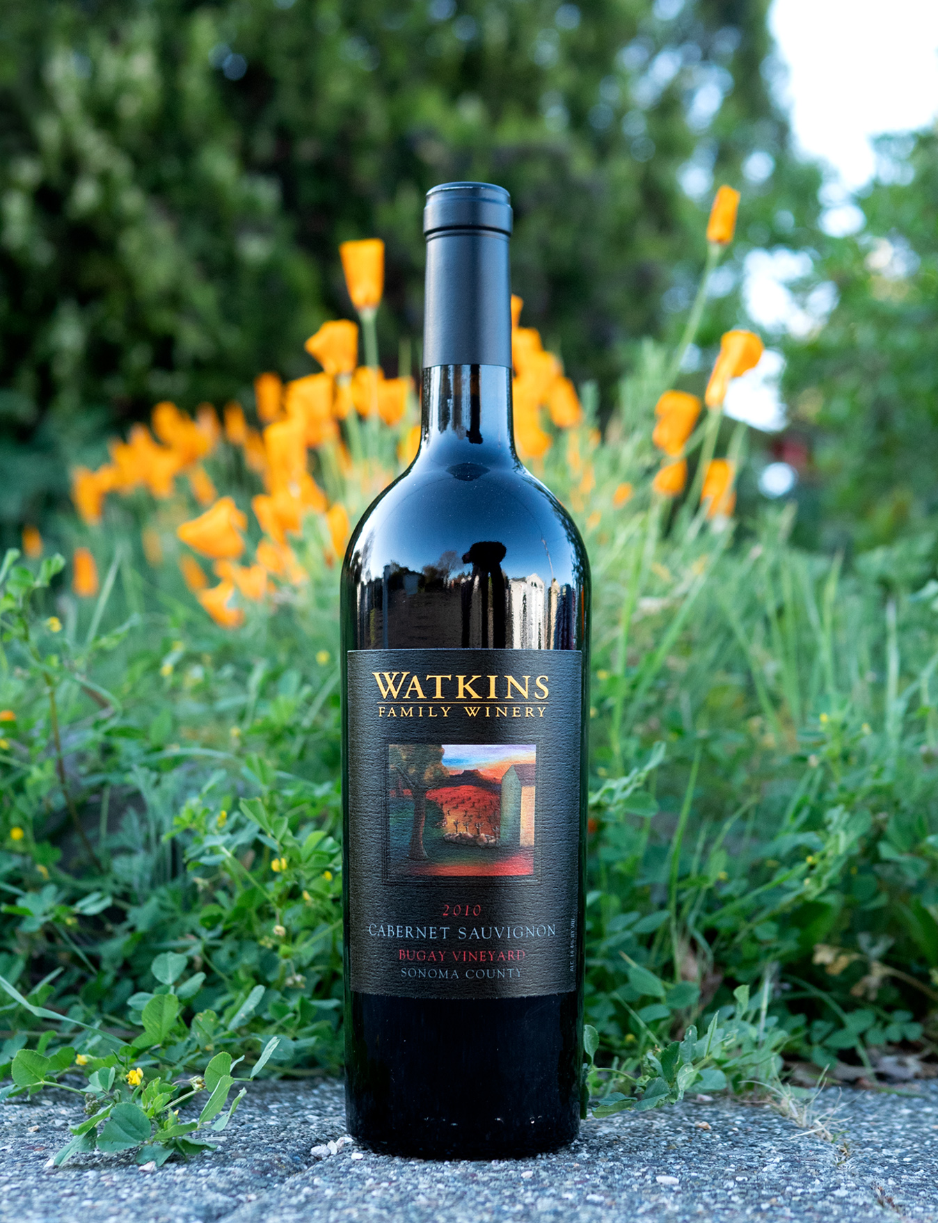 Watkins Family Winery 2010 Bugay Vineyard Sonoma County Cabernet Sauvignon 750ml Wine Bottle