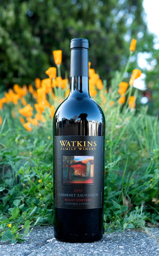 Watkins Family Winery 2010 Bugay Vineyard Sonoma County Cabernet Sauvignon 750ml Wine Bottle