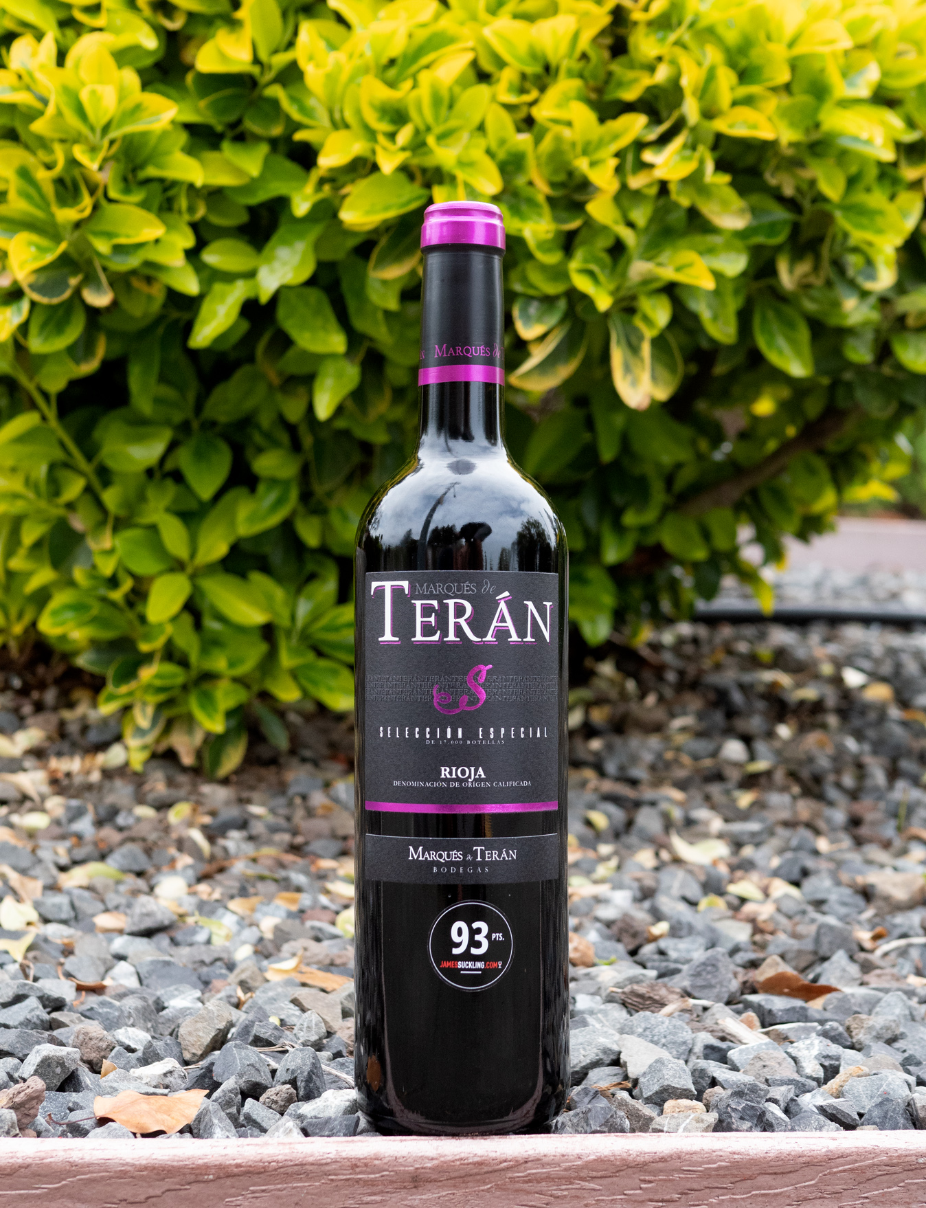 Bodegas Marqués de Terán 2016 'Selección Especial' Rioja DOCa 750ml Wine Bottle