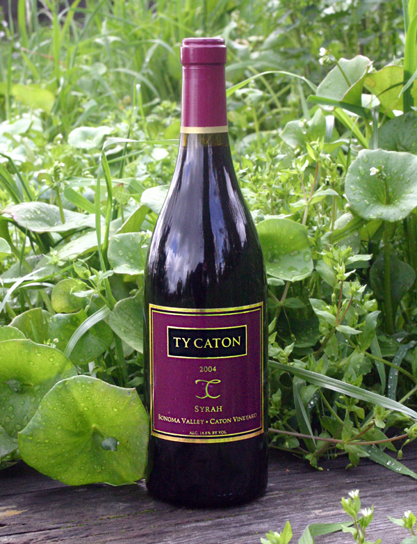 Ty Caton 2004 Sonoma Valley Syrah 750ml Wine Bottle