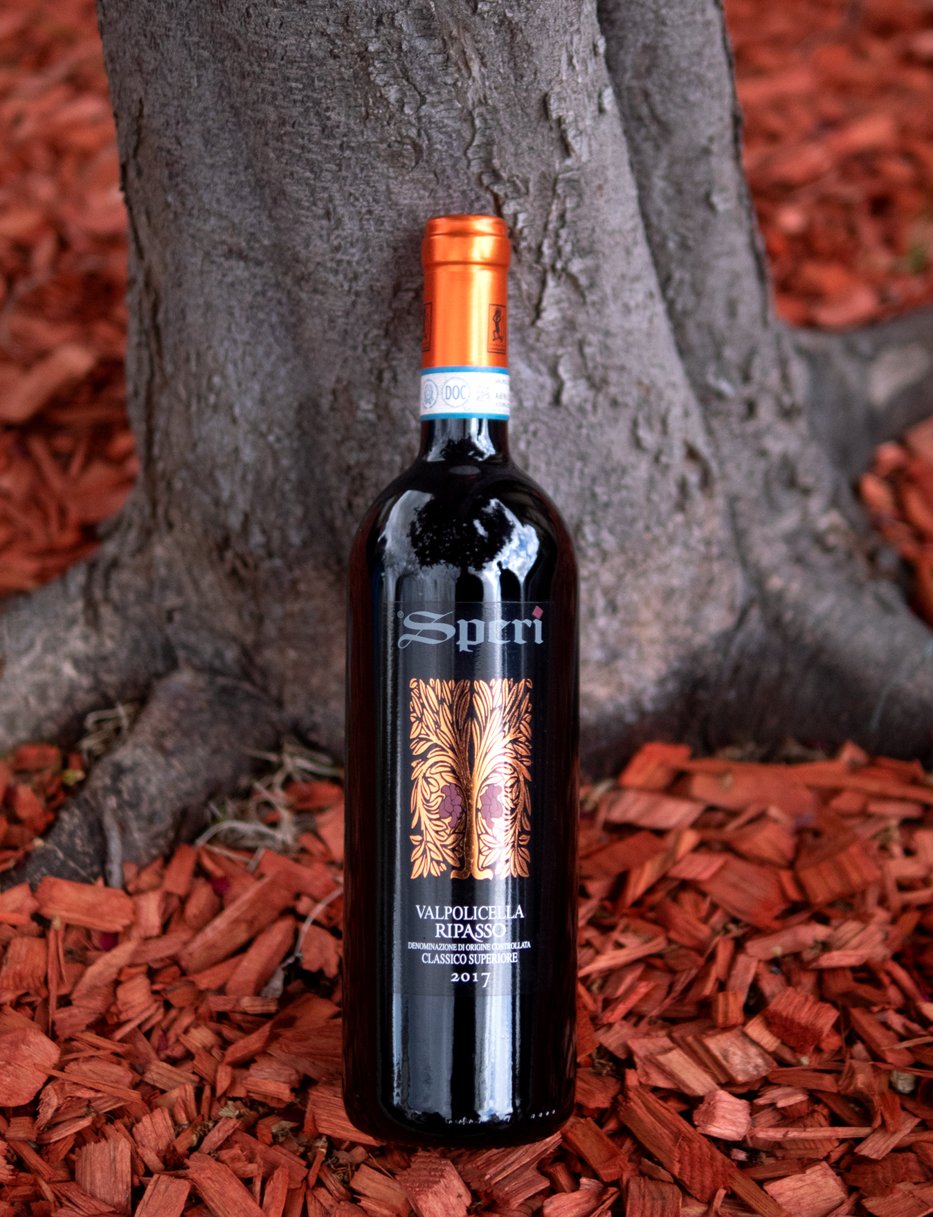 Speri 2017 Valpolicella Classico Superiore Ripasso DOC 750ml Wine Bottle