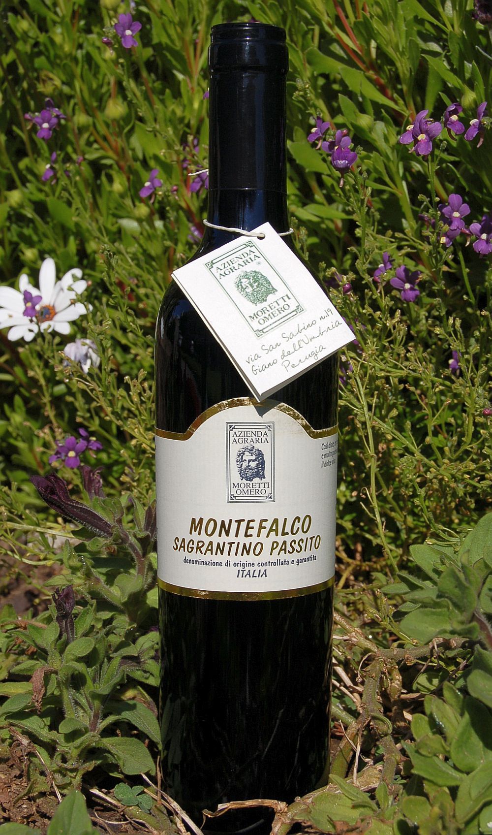 Moretti Omero 2004 Montefalco Sagrantino Passito DOCG 750ml Wine Bottle