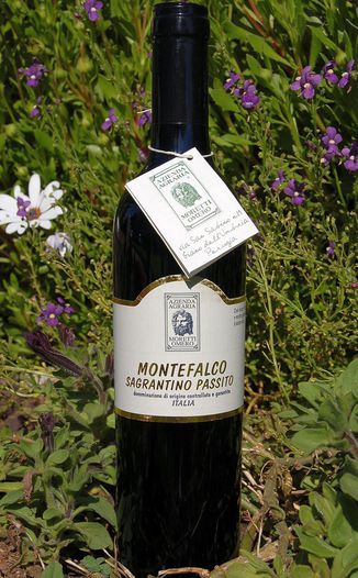 Moretti Omero 2004 Montefalco Sagrantino Passito DOCG 750ml Wine Bottle