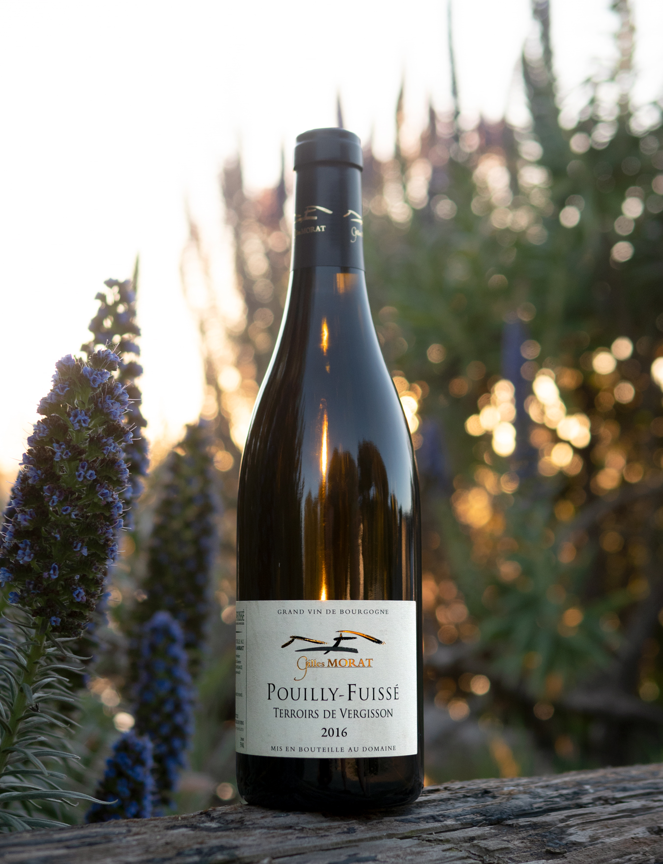 Domaine Gilles Morat 2016 'Terroirs de Vergisson' Pouilly-Fuissé AOC 750ml Wine Bottle