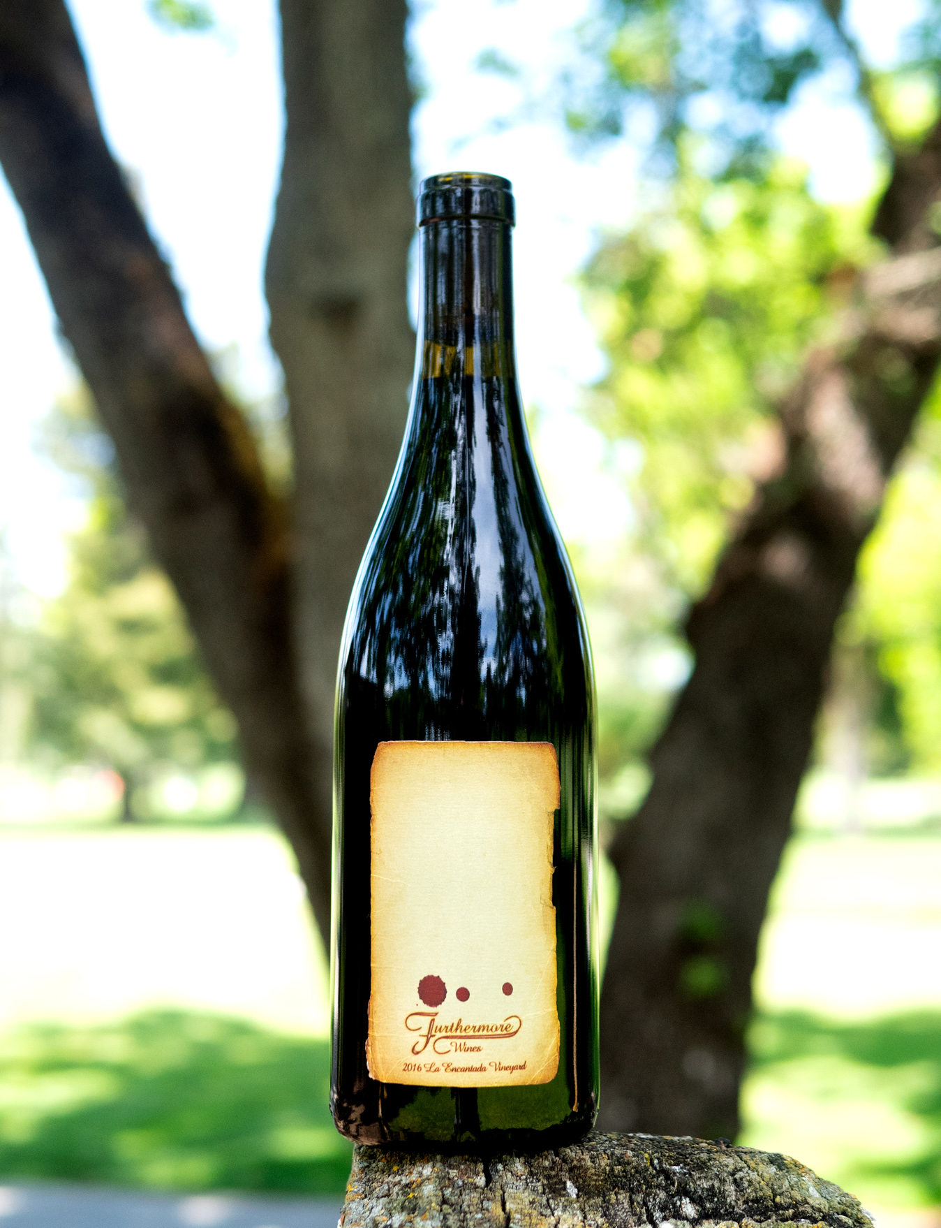 Furthermore 2016 La Encantada Vineyard Sta. Rita Hills Pinot Noir 750ml Wine Bottle