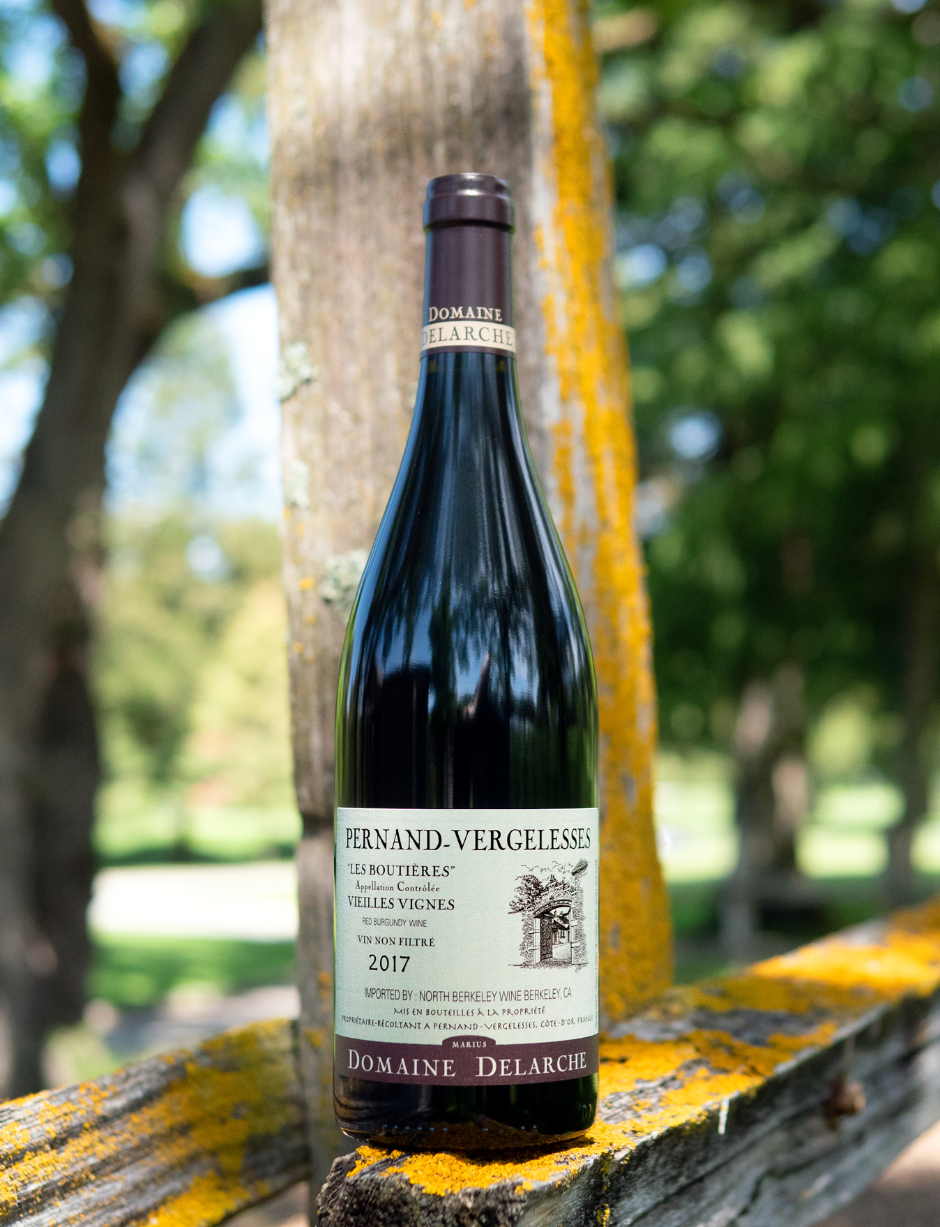 Domaine Marius Delarche 2017 Les Boutières VV Pernand Vergelesses DOC 750ml Wine Bottle