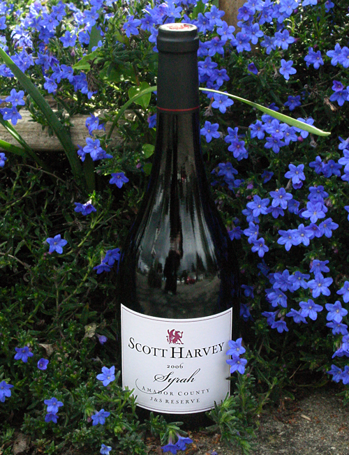 Scott Harvey Wines 2006 J & S Reserve Syrah 750ml Wine Bottle