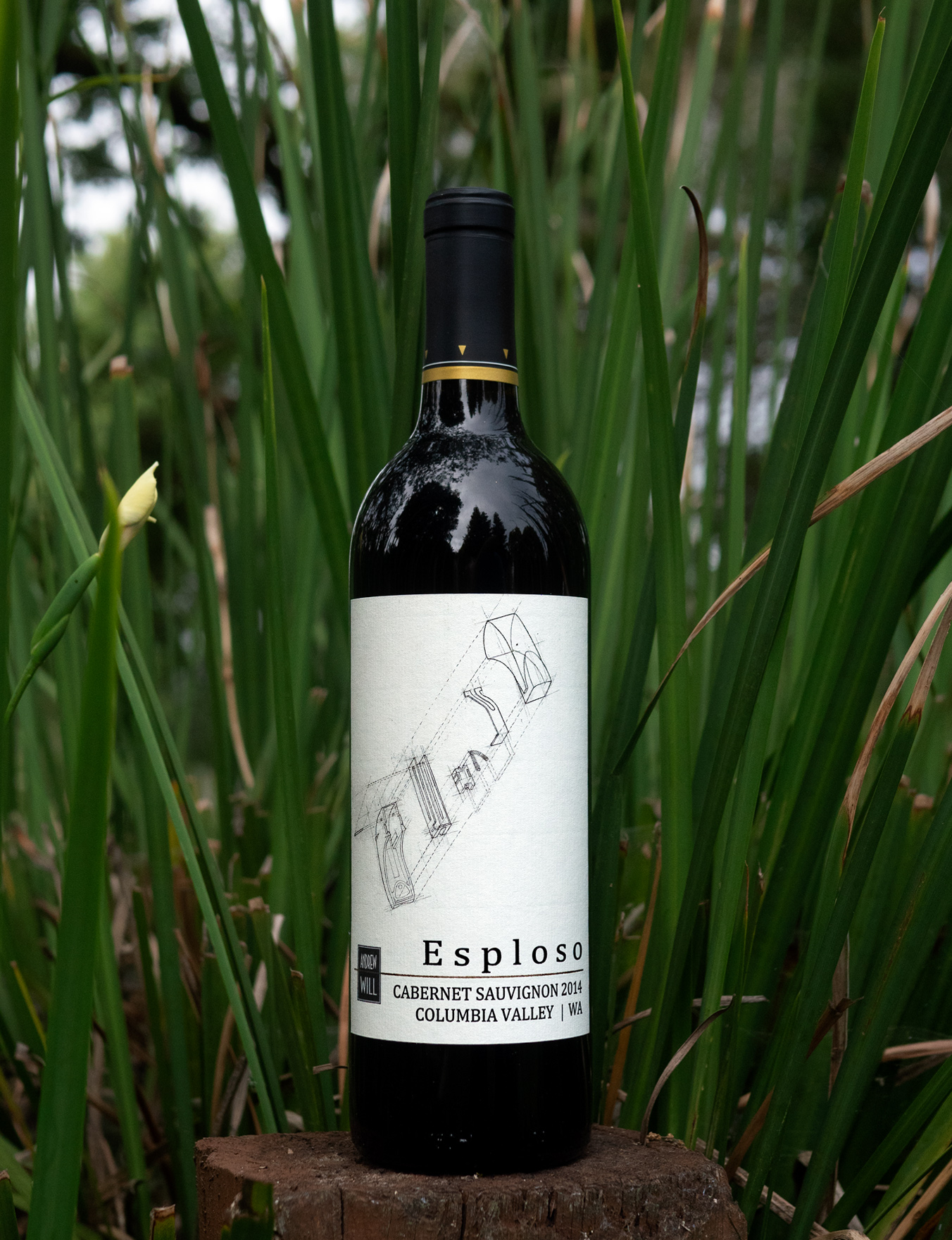 Andrew Will 2014 'Esploso' Columbia Valley Cabernet Sauvignon 750ml Wine Bottle
