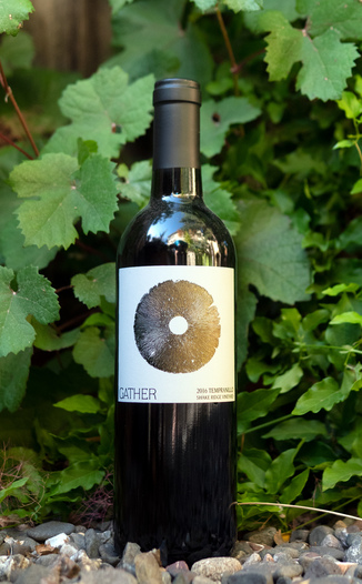 Gather Wines 2016 Shake Ridge Vineyard Tempranillo 750ml Wine Bottle