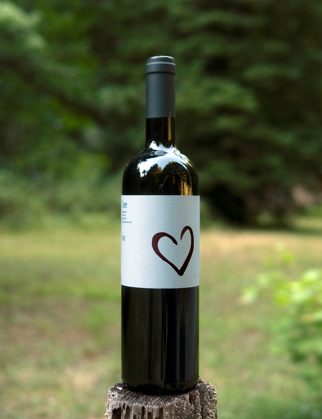 Montevetrano 2016 'Core' Aglianico Campania IGT 750ml Wine Bottle