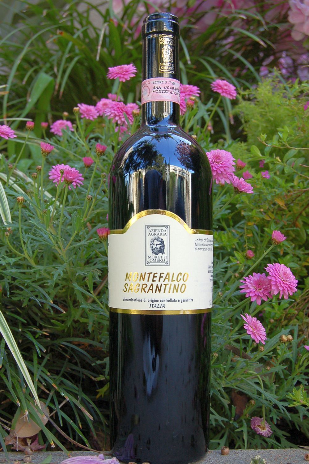 Moretti Omero 2004 Montefalco Sagrantino DOCG 750ml Wine Bottle