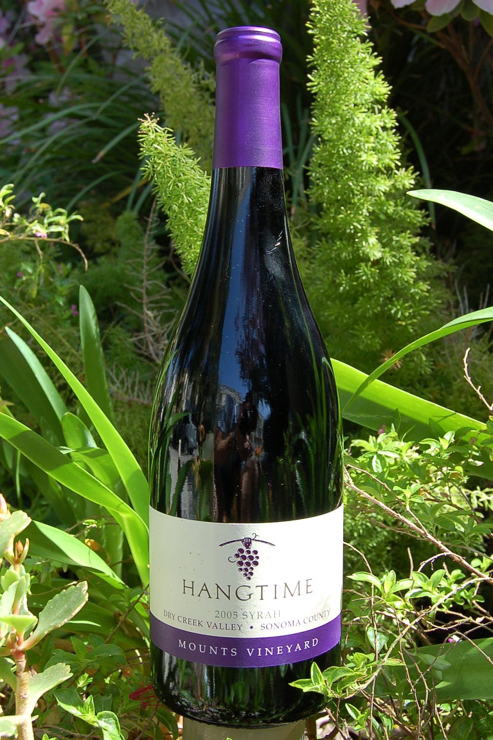 Hangtime Cellars 2005 Dry Creek Valley Syrah 750ml Wine Bottle