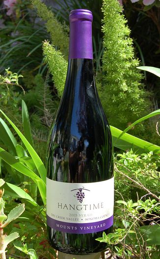 Hangtime Cellars 2005 Dry Creek Valley Syrah 750ml Wine Bottle