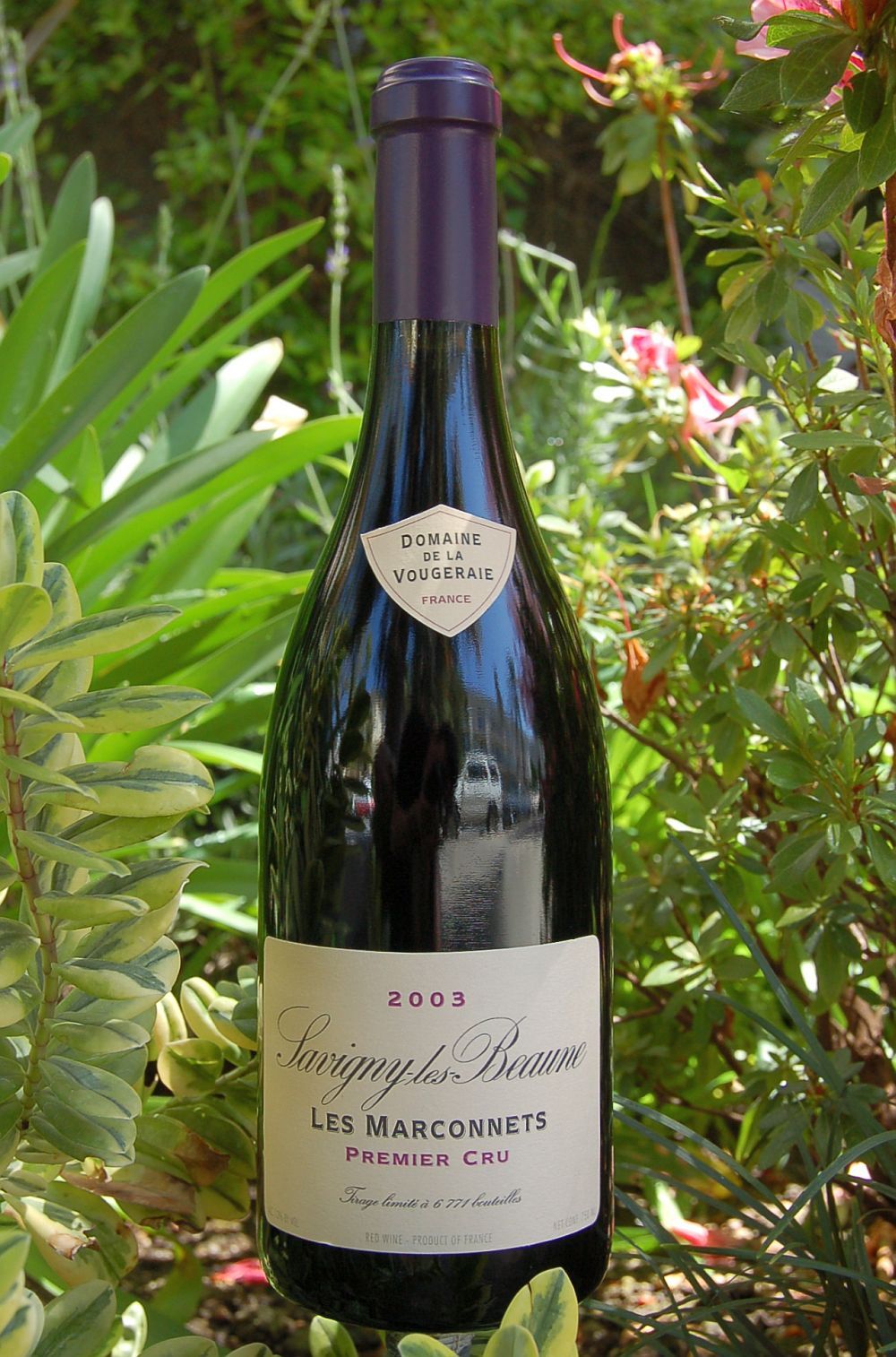Domaine de la Vougeraie 2003 Savigny-lès-Beaune 'Les Marconnets' 1er Cru 750ml Wine Bottle