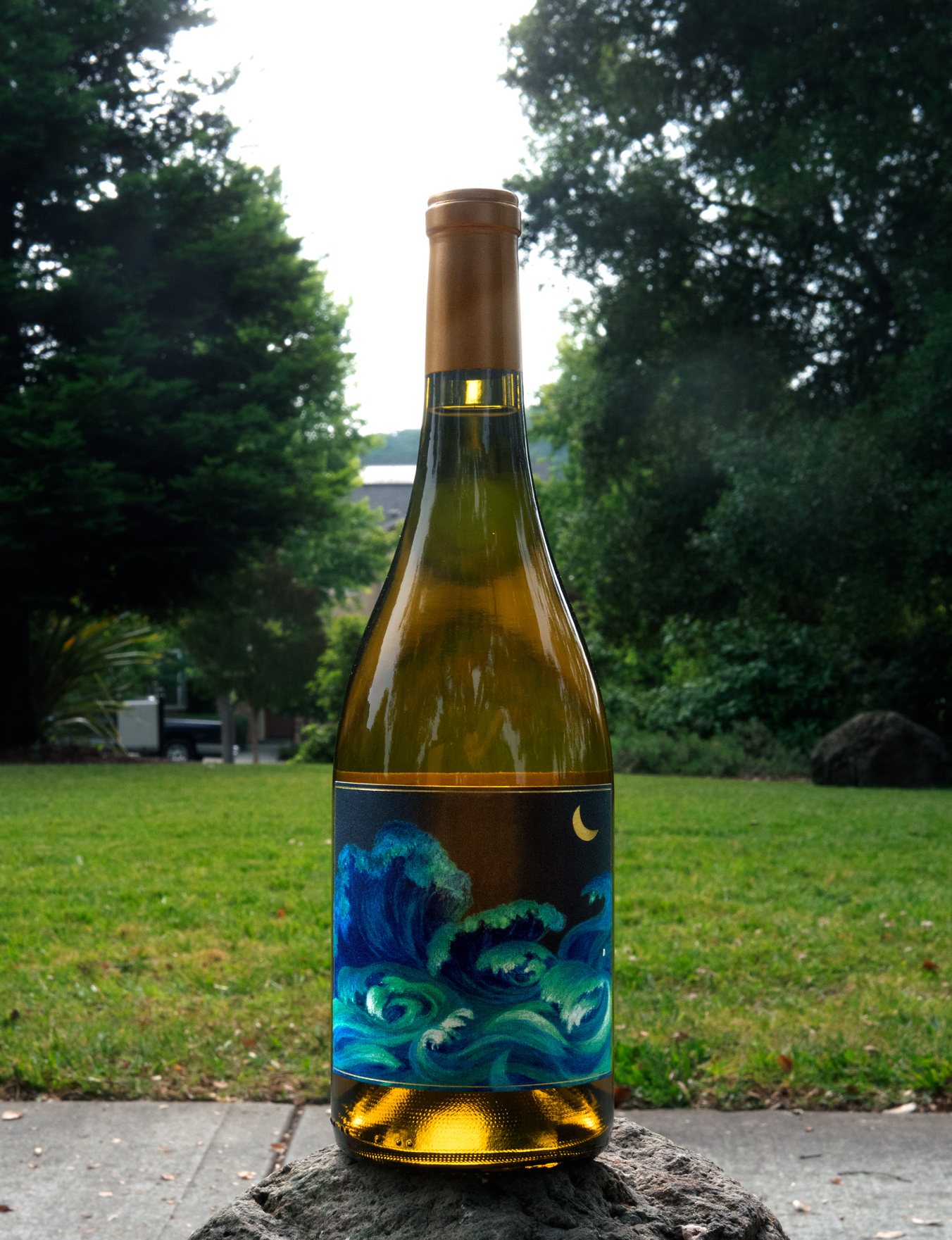 Oceans Churning 2014 Sangiacomo Green Acres Hills Vineyard Chardonnay 750ml Wine Bottle