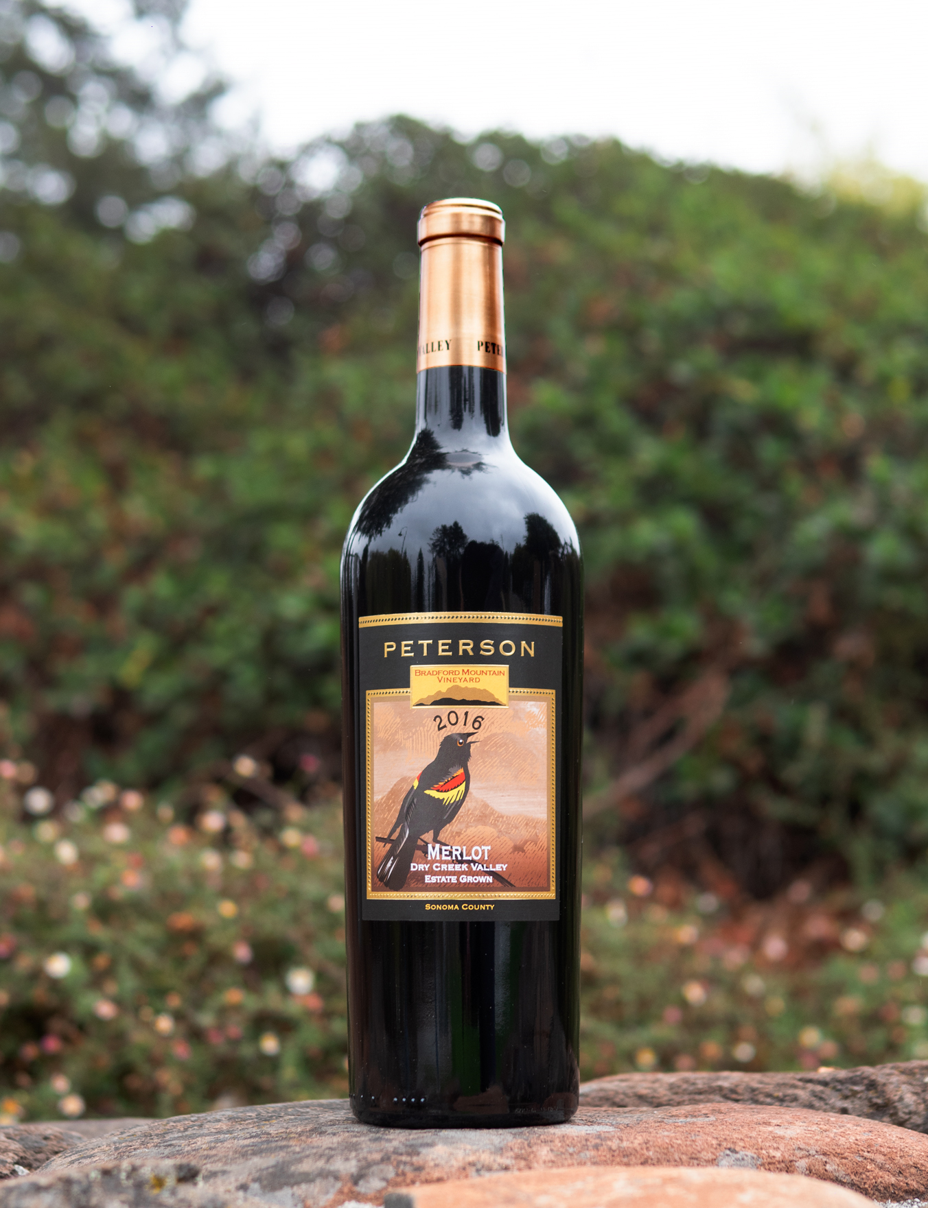 Peterson 2016 Bradford Mountain Estate Dry Creek Merlot 750ml Wine Bottle