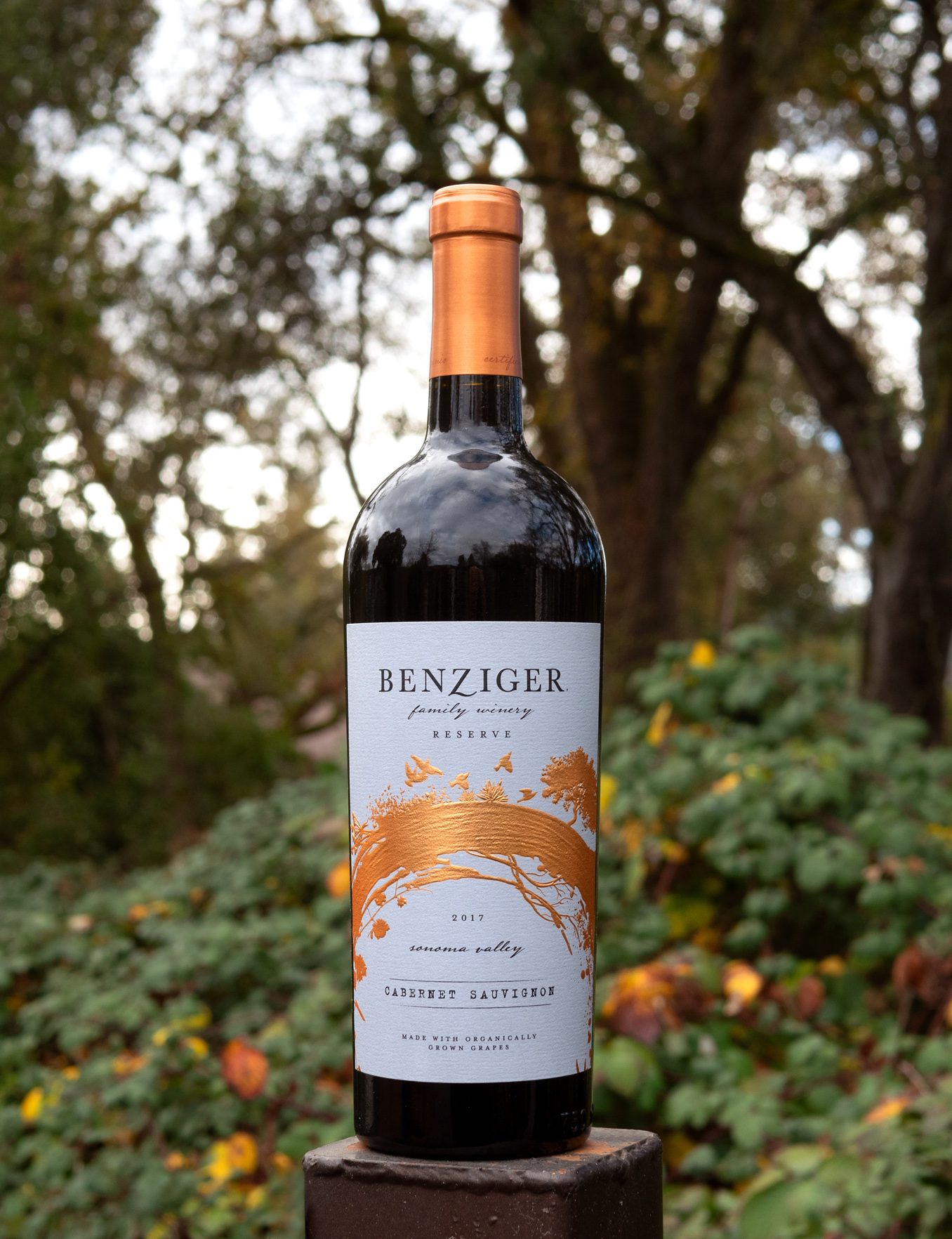 Benziger Family Winery 2017 Sonoma Valley Reserve Cabernet Sauvignon 750ml Wine Bottle